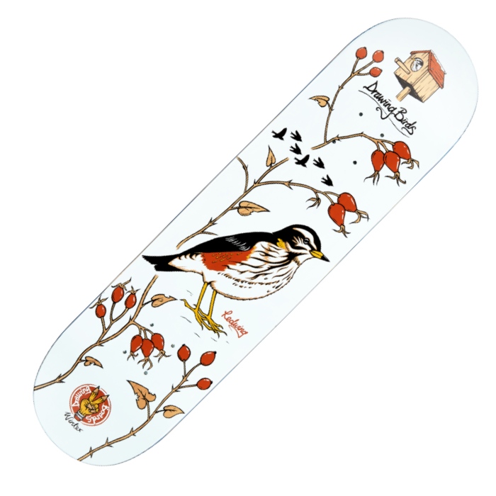Drawing Boards - Redwing - Skateboard Deck 8.50